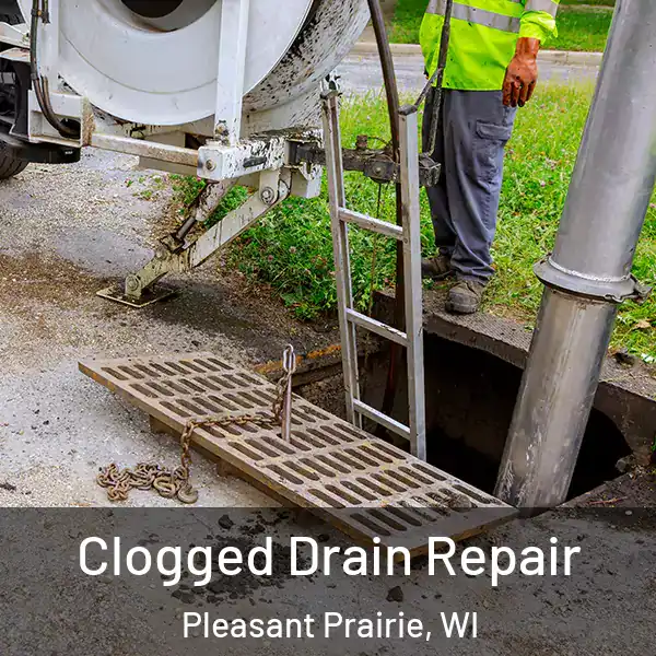  Clogged Drain Repair Pleasant Prairie, WI