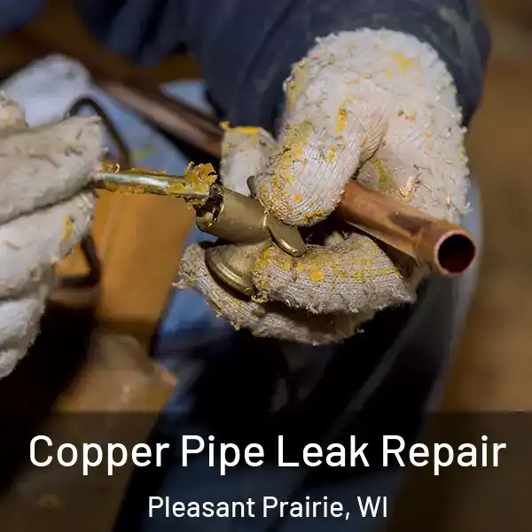  Copper Pipe Leak Repair Pleasant Prairie, WI