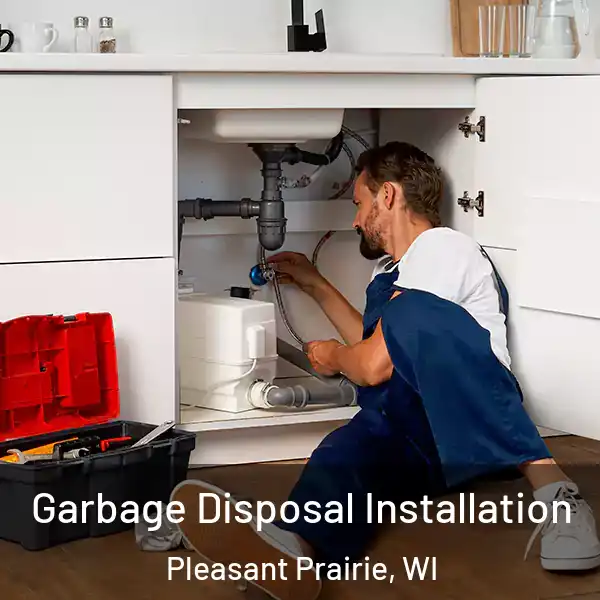  Garbage Disposal Installation Pleasant Prairie, WI