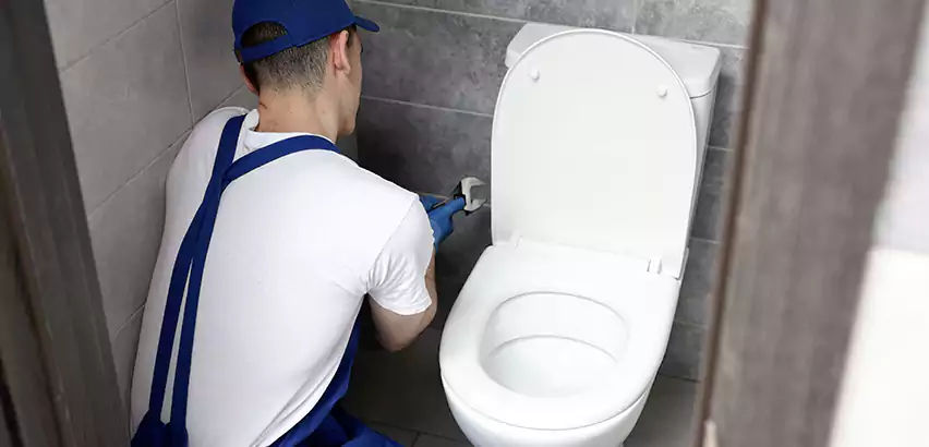 Toilet Lid Replacement in Pleasant Prairie
