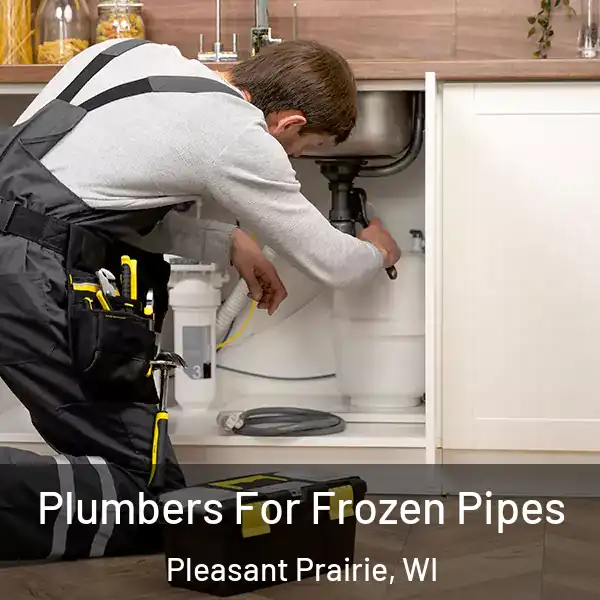  Plumbers For Frozen Pipes Pleasant Prairie, WI