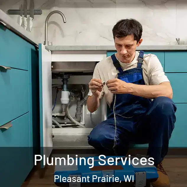  Plumbing Services Pleasant Prairie, WI