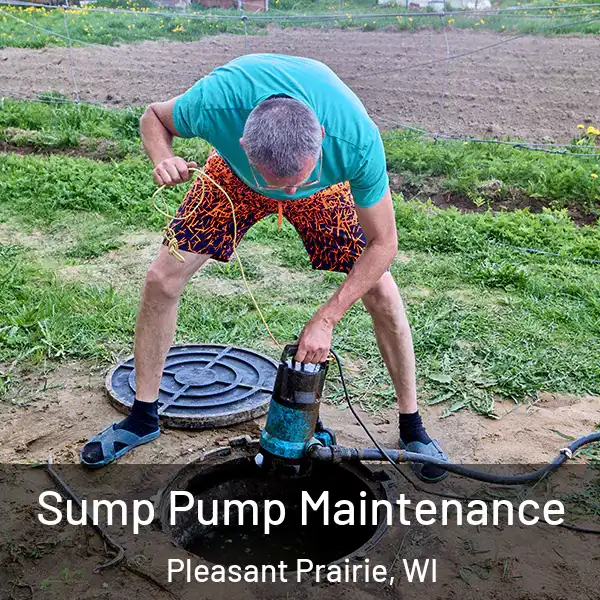  Sump Pump Maintenance Pleasant Prairie, WI