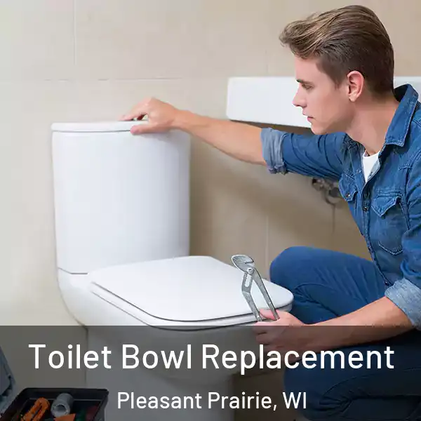  Toilet Bowl Replacement Pleasant Prairie, WI