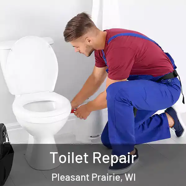  Toilet Repair Pleasant Prairie, WI