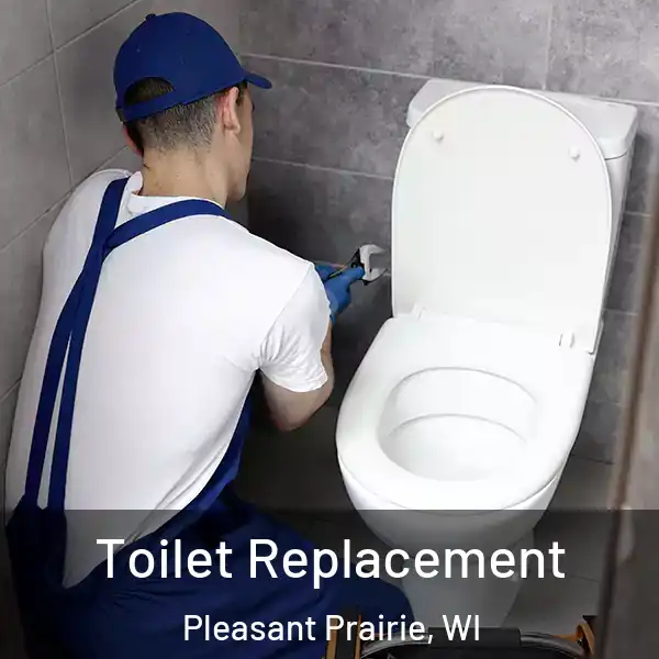  Toilet Replacement Pleasant Prairie, WI