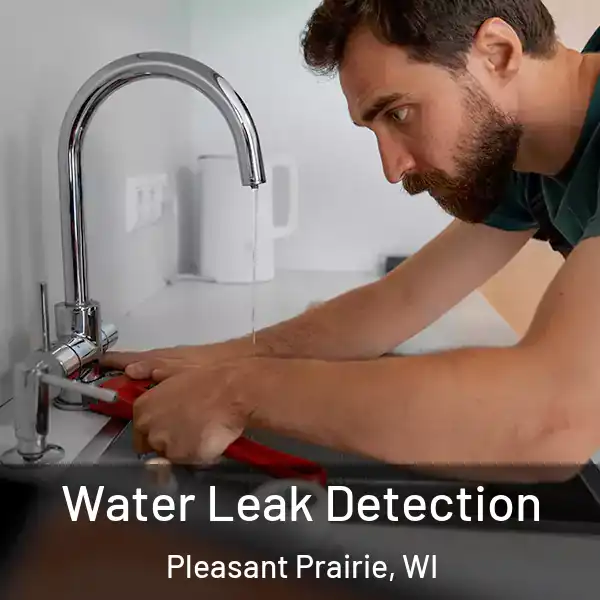  Water Leak Detection Pleasant Prairie, WI