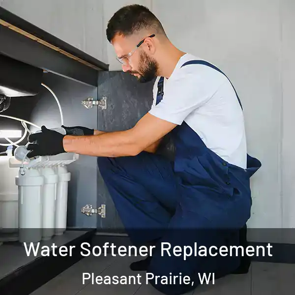  Water Softener Replacement Pleasant Prairie, WI